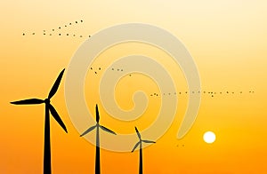 Wind turbines and flying birds and the setting sun