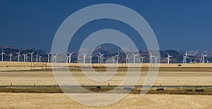 Wind Turbines in the Foothills photo