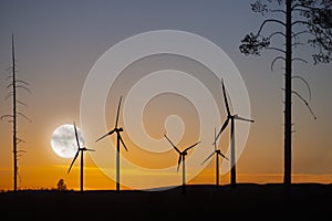 Wind turbines in forest area at sunset