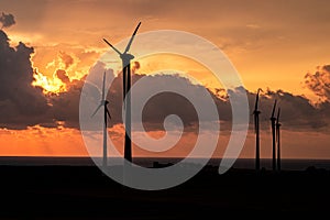 Wind turbines in front of the sea at sunrise