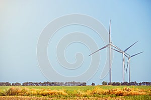 Wind turbines generating electricity on the foreground green field. The concept of alternative green energy