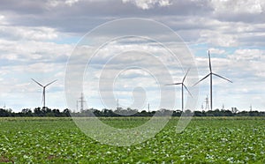 Wind turbines generating electricity located in the middle of the field. Alternative ecology energy, eco power