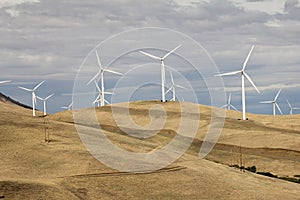 Wind Turbines in Goldendale Washington Landscape