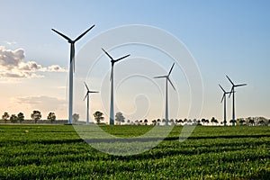 Wind turbines in a grain field with back light