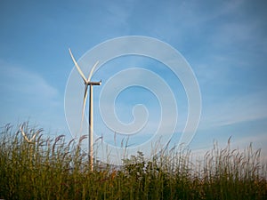 Wind turbines in grass field with blue sky
