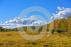 Wind turbines and grassland