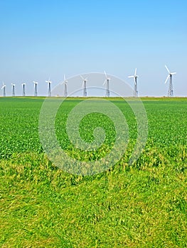 Wind-turbines on a green field