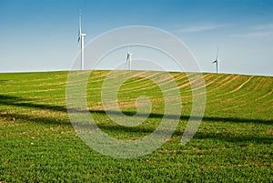 Wind turbines green field