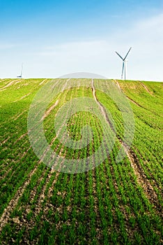 Wind turbines green field