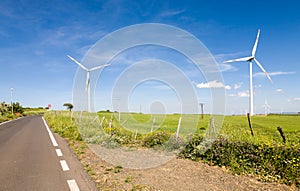 Wind turbines in green field