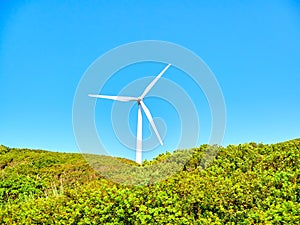 Wind turbines between a green field and a blue sky background for copy space