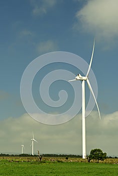 Wind turbines in a green field etched against a blue sky