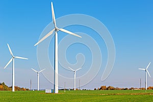 Wind turbines among green field on sunny autumn day