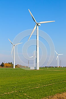Wind turbines among green field on sunny autumn day