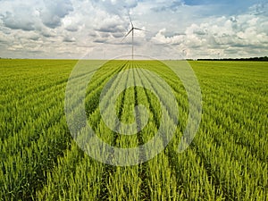 Wind turbines on the green wheat field