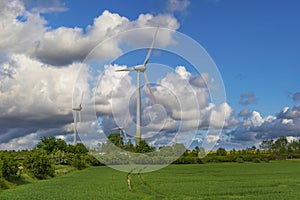 Wind turbines on the green wheat field with blue sky and clouds on the background