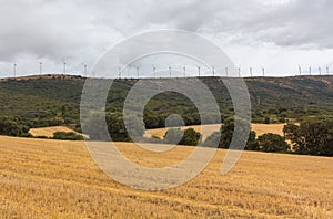 Wind turbines on the hills, among the fields of Navarre, Spain.