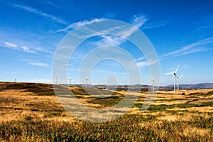 Wind turbines on hilly expanse create energy photo