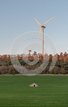 Wind turbines jutting out of a forest with an old stone farmer`s hut in the middle of a green field