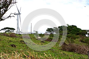 Wind Turbines, Lake Arenal, Costa Rica, Central America