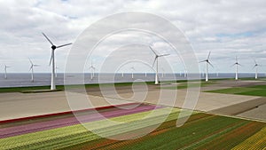 Wind turbines on a levee and offshore producing electricty