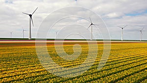 Wind turbines on a levee and offshore producing electricty