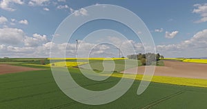 Wind Turbines in the Middle of Rapeseed Field