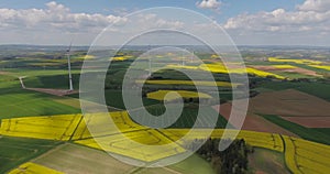 Wind Turbines in the Middle of Rapeseed Field