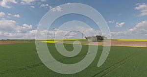 Wind Turbines in the Middle of Rapeseed Field