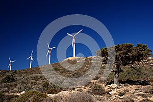 Wind turbines in movement