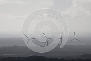 Wind Turbines Next To Body of Water Generating Clean Renewable Energy