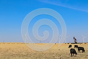Wind turbines and oil well and grazing cattle all in one field against a blue sky