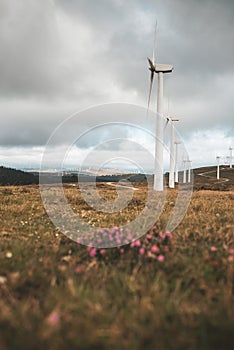 Wind turbines on an open field