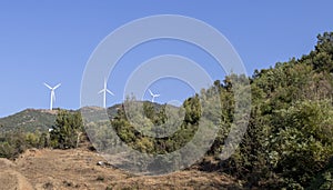 Wind turbines in the plain in the hills.