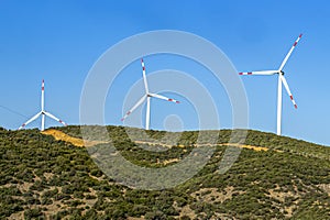 Wind turbines in the plain in the hills.