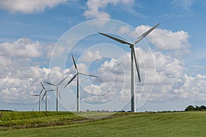 Wind turbines on potato field in Denmark