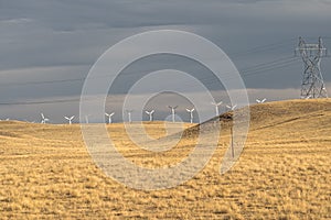 Wind turbines and power line in yellow field, meadow, before rain. Wind farm. USA