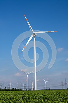 Wind turbines with power lines