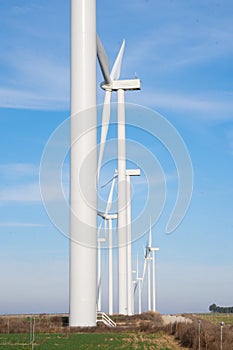 Wind Turbines Powering a Sustainable Future on Green Field