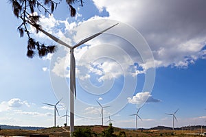 Wind turbines produce clean energy electricity.