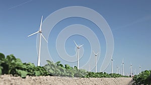 Wind turbines producing alternative energy