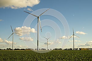 Wind turbines, pure energy,windmills in the fields