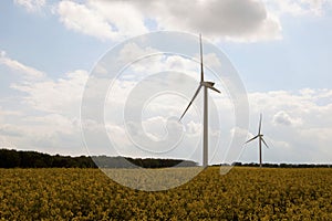 Wind turbines, in rape seed oil fields 4, in Marr, Doncaster, South Yorkshire. photo