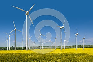 Wind turbines in a rapeseed field photo