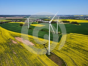 wind turbines in the rapeseed field