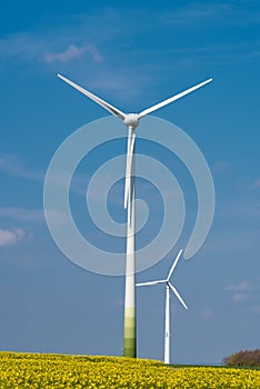 Wind-turbines in a rapeseed field