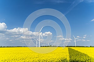 Wind turbines in a rapeseed field with blue cloudy sky