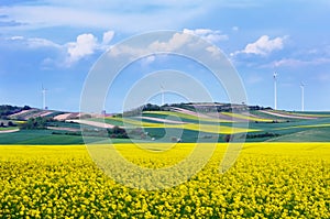 Wind turbines among rapeseed fields and colorful meadows