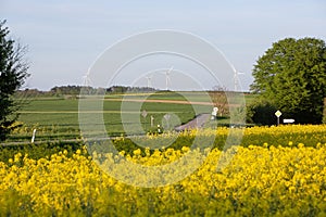 wind turbines and rapeseed under blue sky in german saarland in spring
