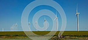 Wind turbines, renewable energy on a green field, spring day. Wind farm, New Mexico, USA